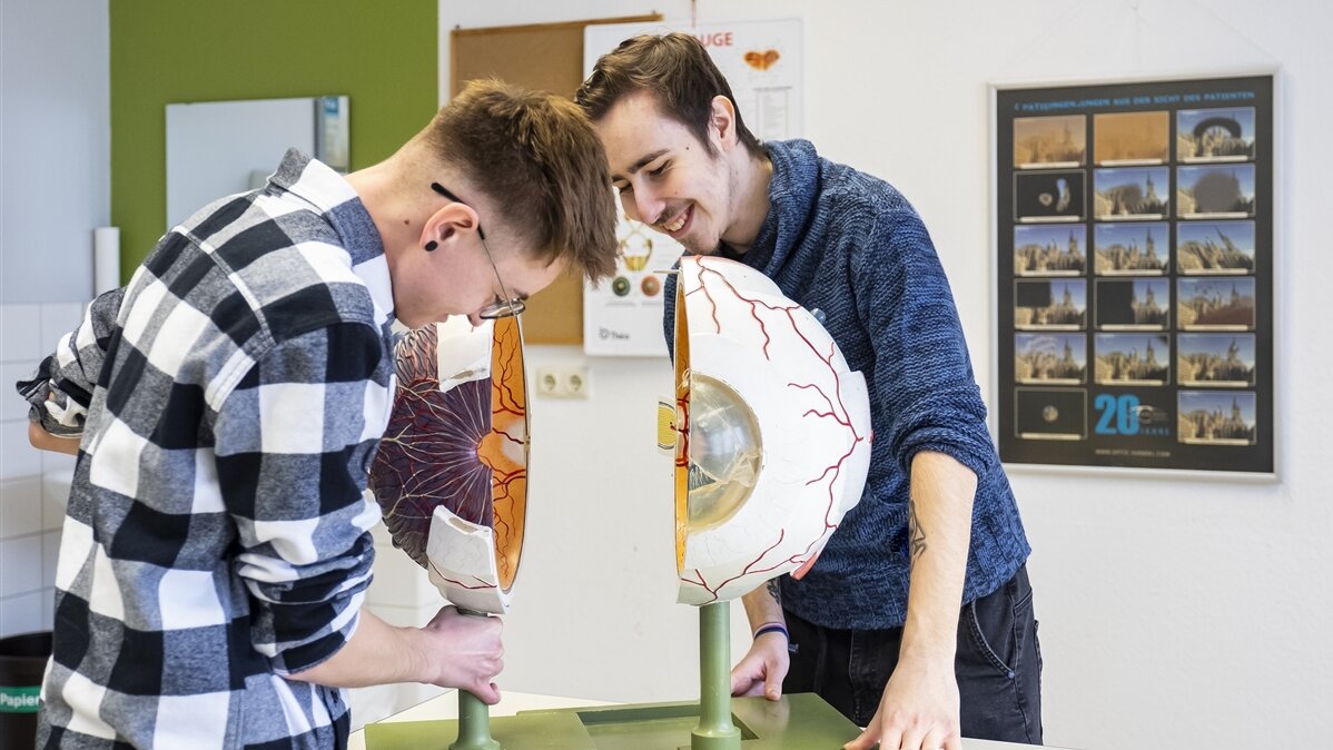 Zwei junge Männer schauen sich den anatomischen Aufbau eines Augapfels anhand eines Modells an.