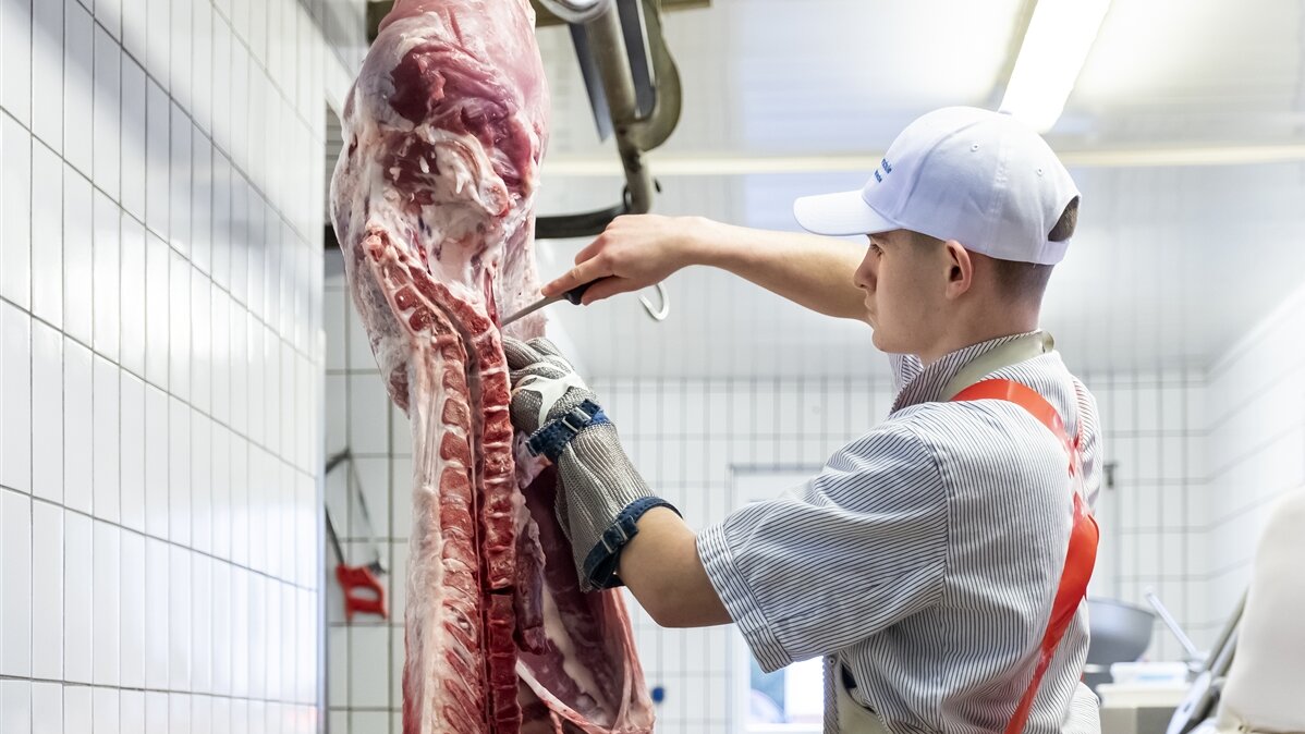 Stefan zerlegt in Stichschutzkleidung das Kalb mit dem Messer. 