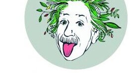 Ein Bild vom Quiz Umwelt-Einstein zeigt Albert Einstein mit grünen Haaren und pinkfarbener Zunge.