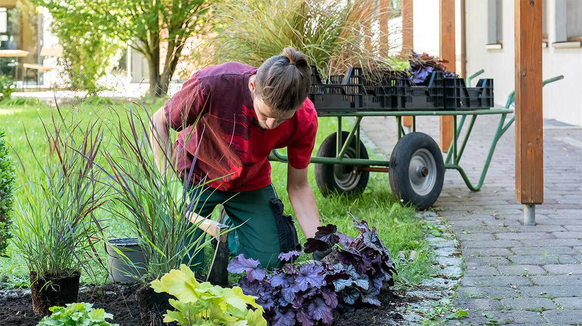 Ein junger Mann bepflanzt ein Beet im Freien.
