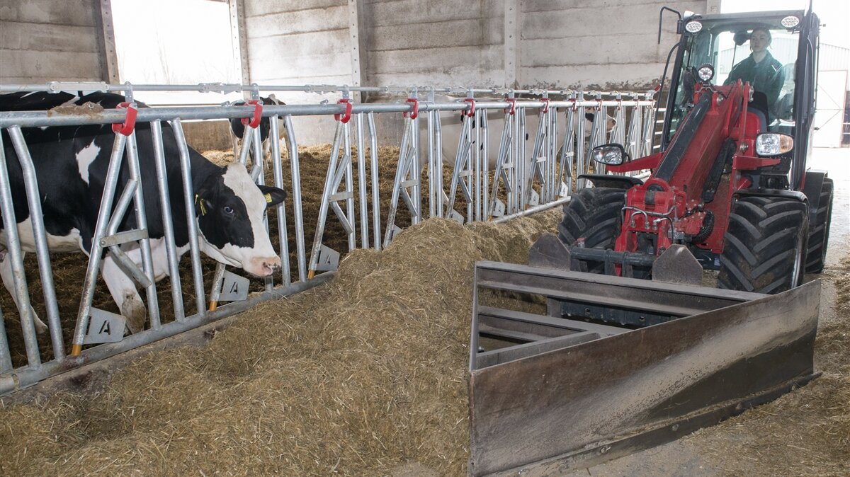 Tamara schiebt im Stall Futter mit dem Radlader an das Gitter heran.