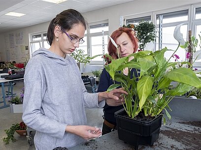 Eine junge Frau kümmert sich gemeinsam mit ihrer Ausbilderin um eine Pflanze.
