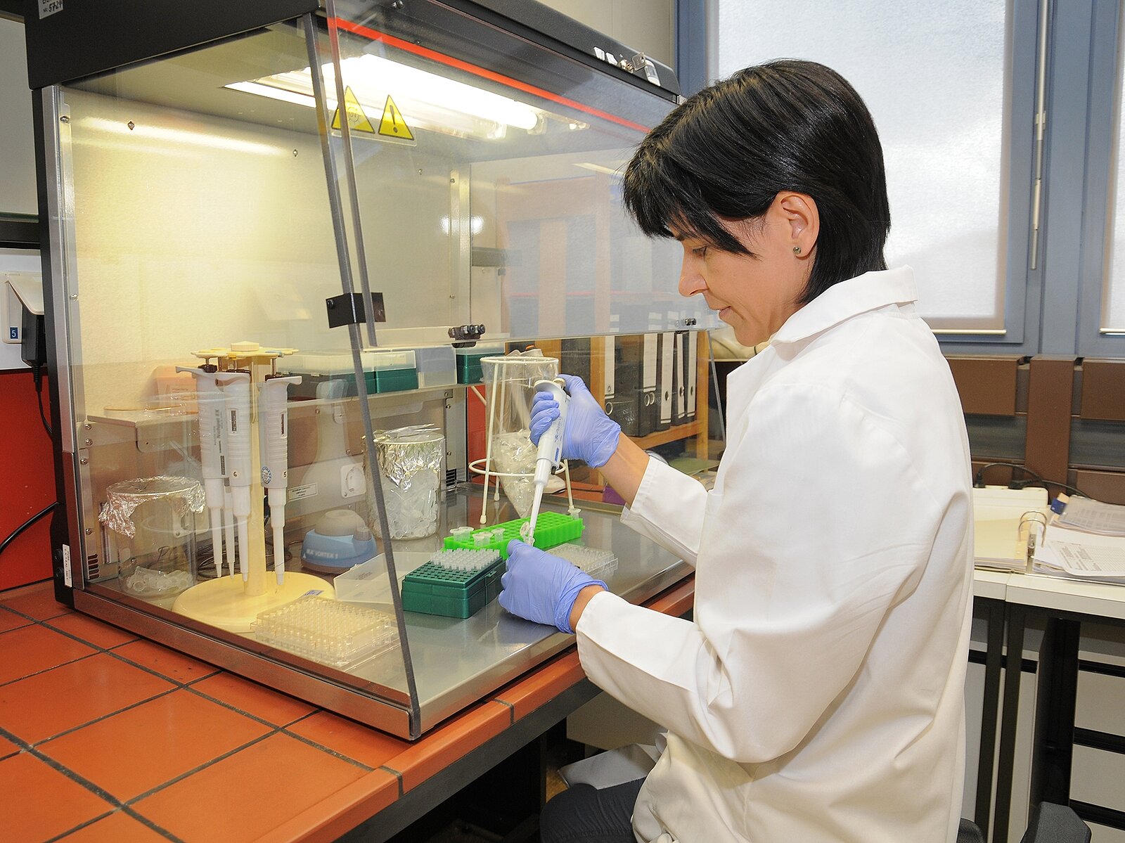 Eine Frau ermittelt gentechnische Veränderungen in einer Maisprobe durch DNA-Analyse.