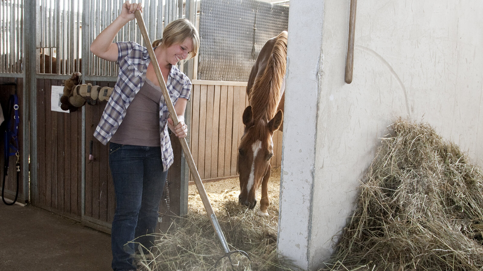Im Stall schippt Lena mit einer Gabel Heu in eine Box in der ein Pferd steht.