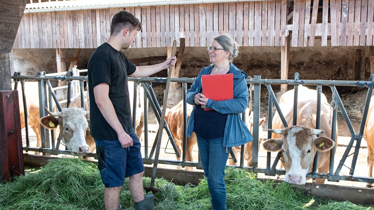 Eine Frau und ein Mann unterhalten sich vor Kühen in einem Kuhstall.