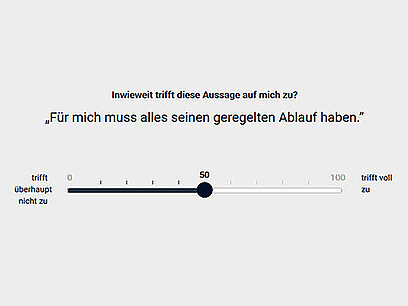 Screenshot Fragebogenskala