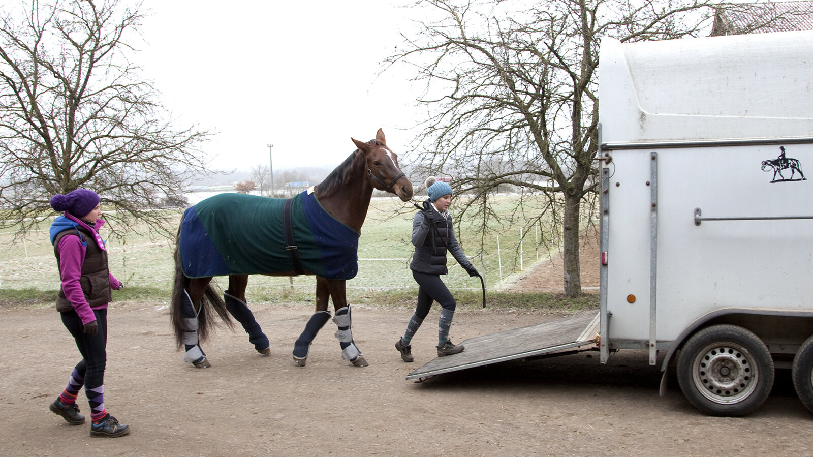 Luna führt ein Pferd in den Transportanhänger.