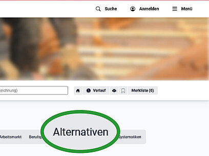 Screenshot BERUFENET Dachdecker/in Reiter Alternativen.
