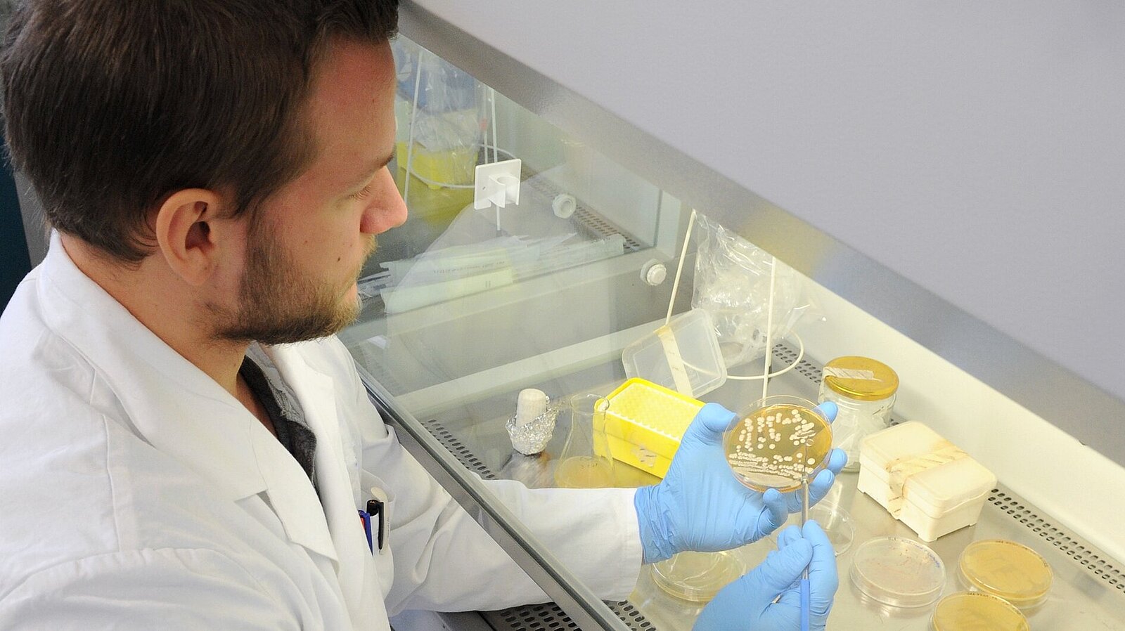 Ein Mann im weißen Kittel untersucht den Inhalt einer Petrischale.