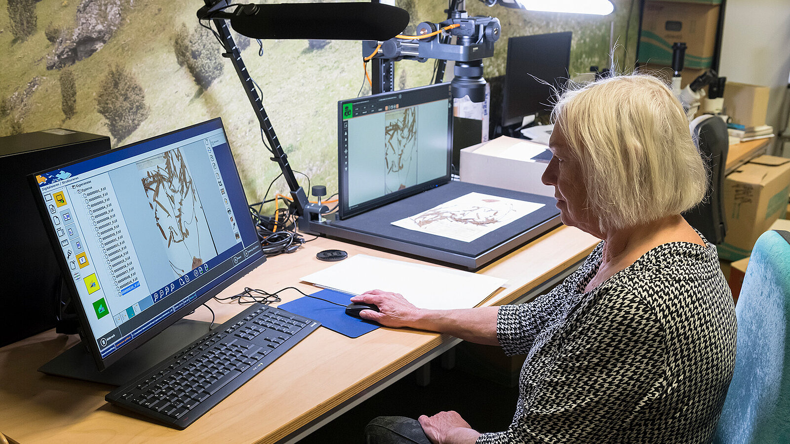 Eine Frau digitalisiert ein altes Gemälde an einem Computer.