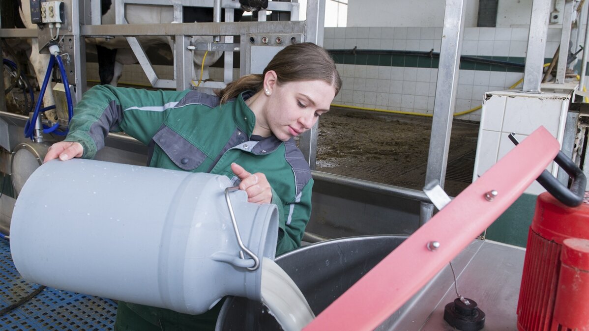 Tamara füllt die Milch für die Kälber in das Milchshuttle um.