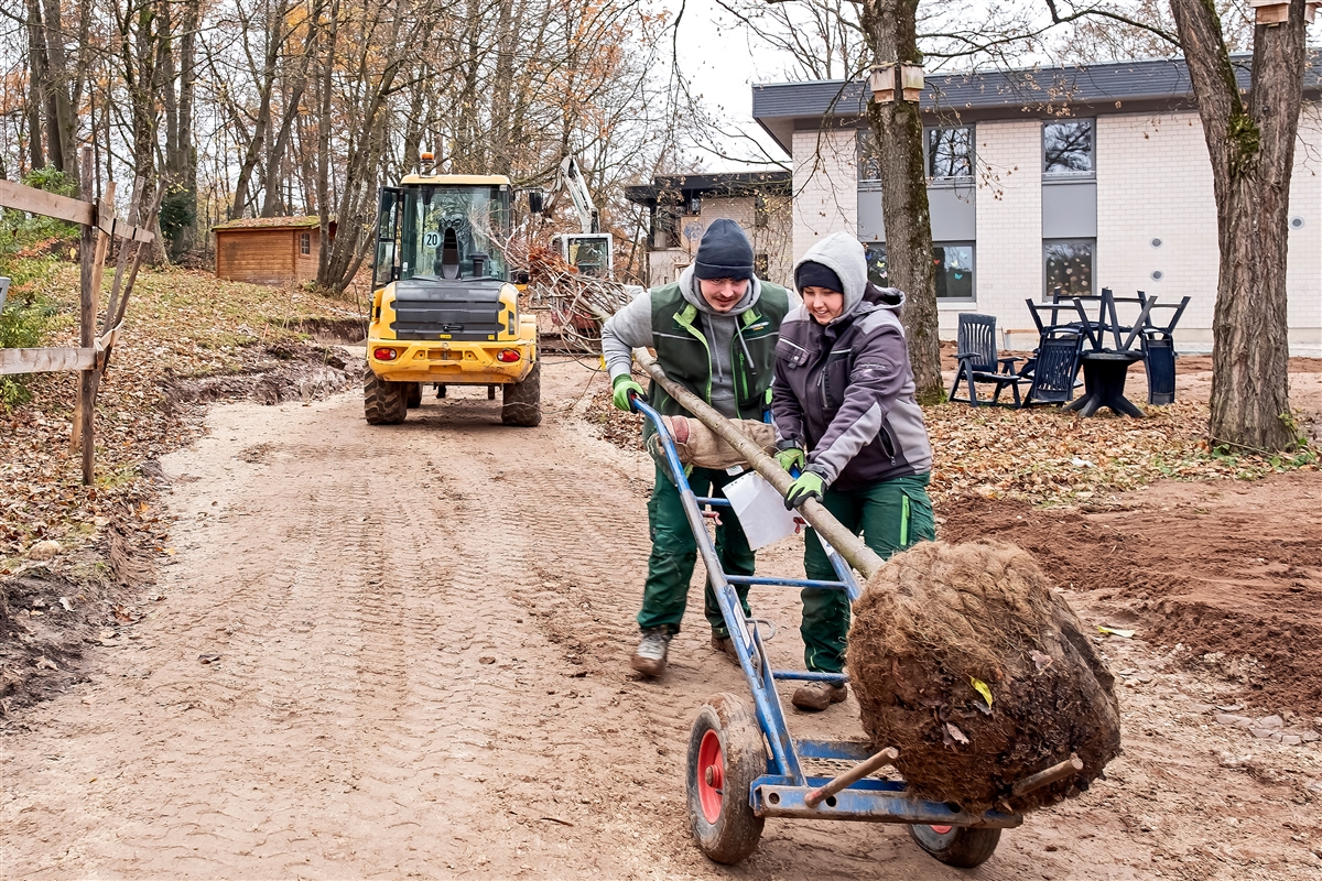 Hannah und Marcel fahren einen kleinen Baum mit der Sackkarre zum Pflanzloch.