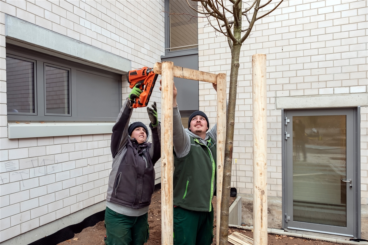 Hannah und Marcel befestigen die Baumverankerung mit einem Nagelgerät.