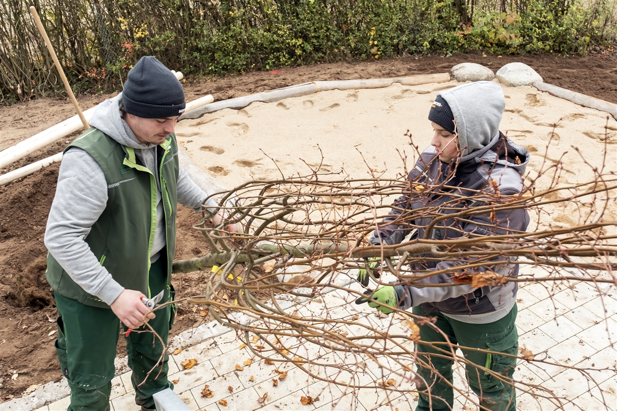 Hannah und Marcel schneiden mit Gartenscheren die Baumkrone zurecht.