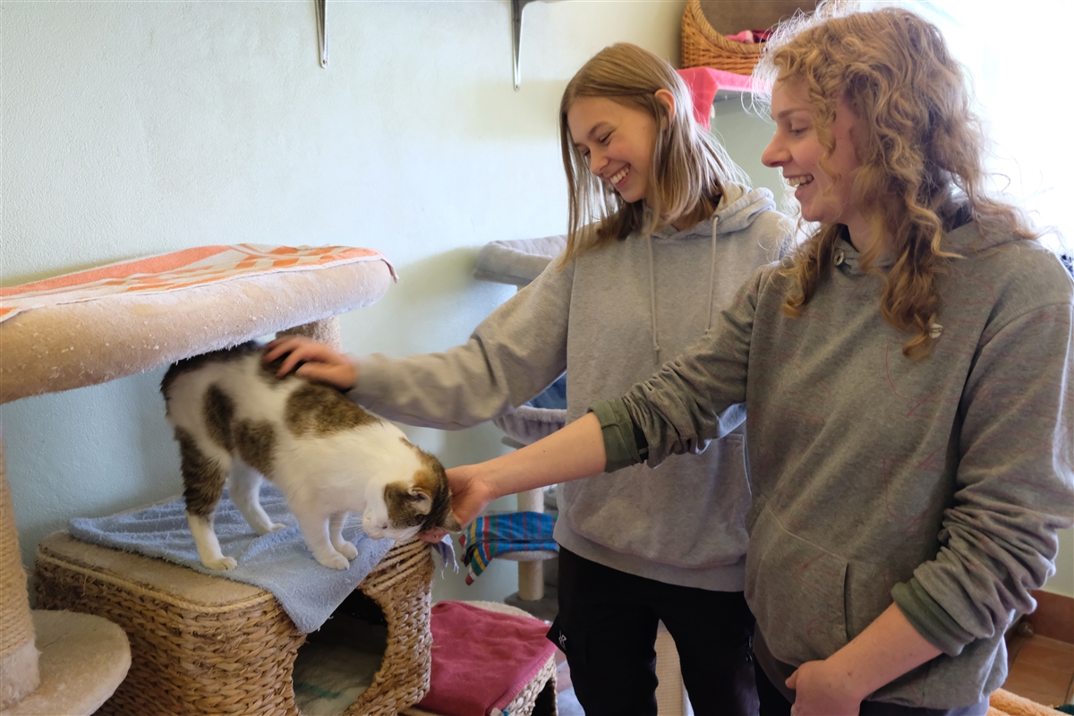 Nina zeigt einer interessierten Frau eine zu vermittelnde Katze.
