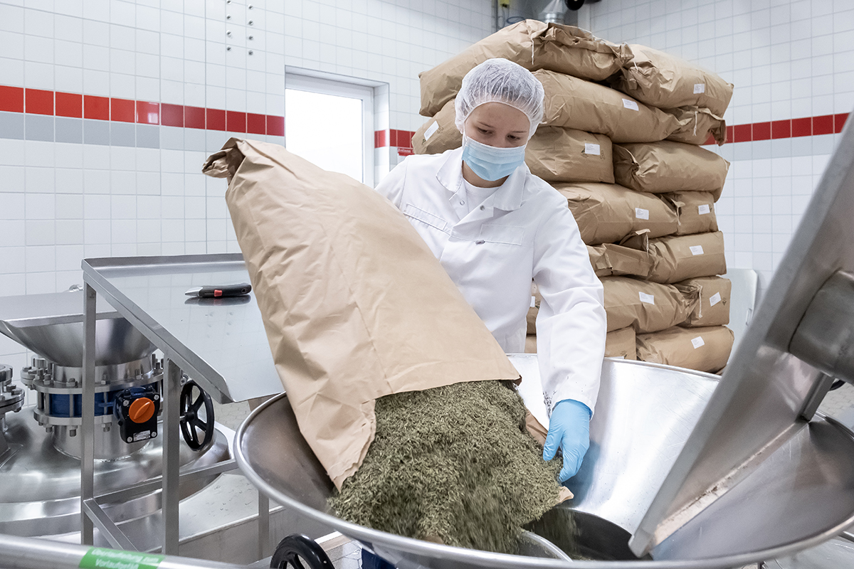 Leonie schüttet Kräuter in den Extraktor.