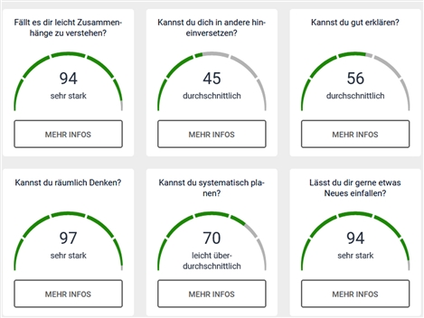Screenshot der Testauswertung von Check-U mit den erreichten Ergebnissen